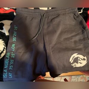 Jurassic world shorts , very comfy!
